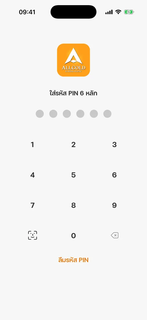 หน้าใส่รหัส PIN