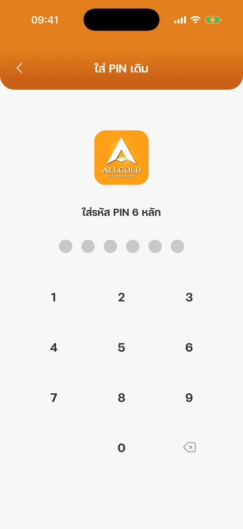 ใส่ PIN เดิม